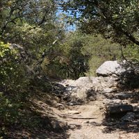 Photo de France - La randonnée du lac des Olivettes